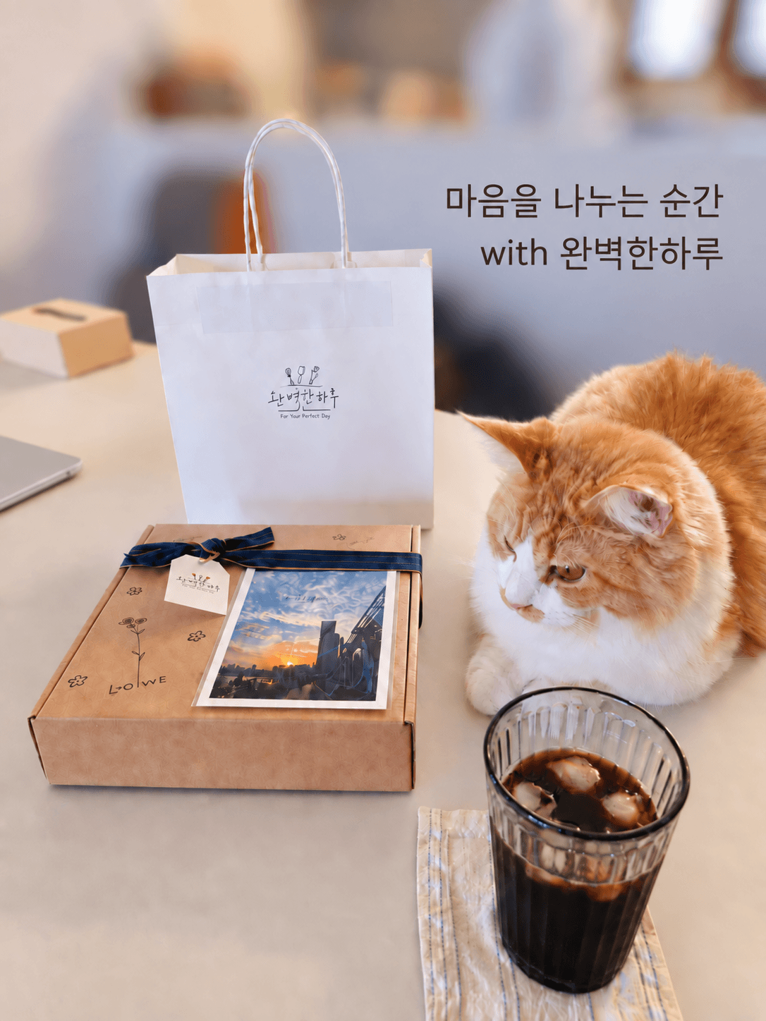 완벽한 하루 선물 패키지